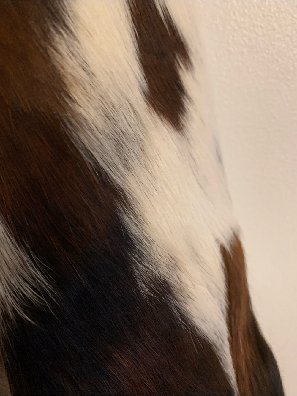 Kuzyk Bobby cowhide jacket - Picture 5 of 5